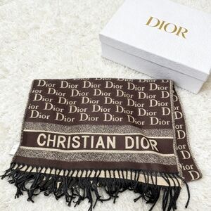 Dior Oblique Brown Beige Scarf